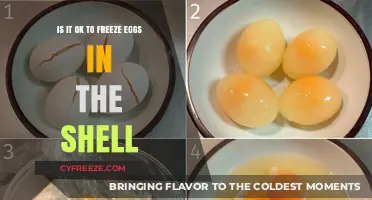 Cracking the Myth: Freezing Eggs in Their Shells - A Safe Practice?