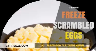 Egg-cellent Storage: The Do's and Don'ts of Freezing Scrambled Eggs