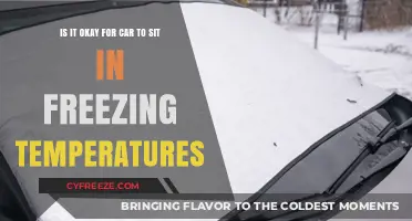 Can Your Car Handle Freezing Temps? Expert Tips to Protect It