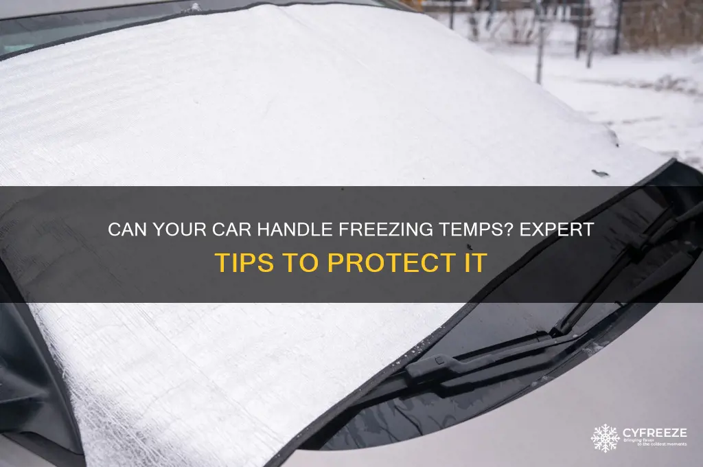 is it okay for car to sit in freezing temperatures