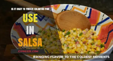 Freezing Cilantro for Salsa: A Fresh or Frozen Flavor Debate