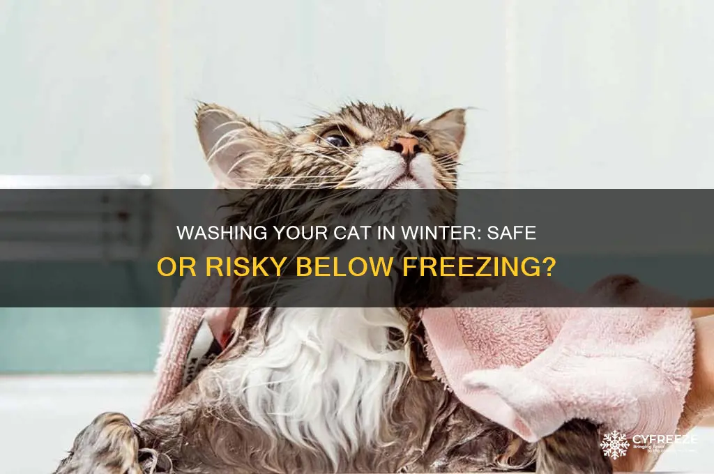 is it okay to get your cat washed below freezing