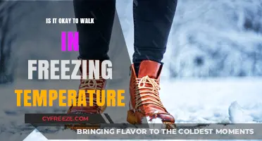 Walking in Freezing Temps: Safe or Risky? Expert Tips Inside