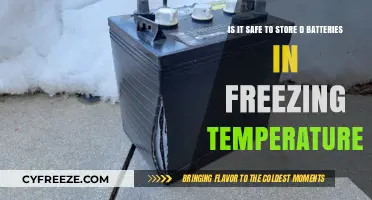 Storing D Batteries in Freezing Temps: Safety Tips and Risks