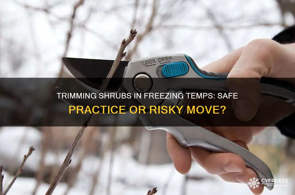 is it safe to trim shrubs when freezing temperature