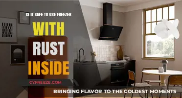 Rusty Freezer Safety: Risks and Solutions for Your Frozen Food Storage