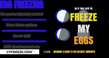 Considering Your Options: Is It Too Late to Freeze Your Eggs?