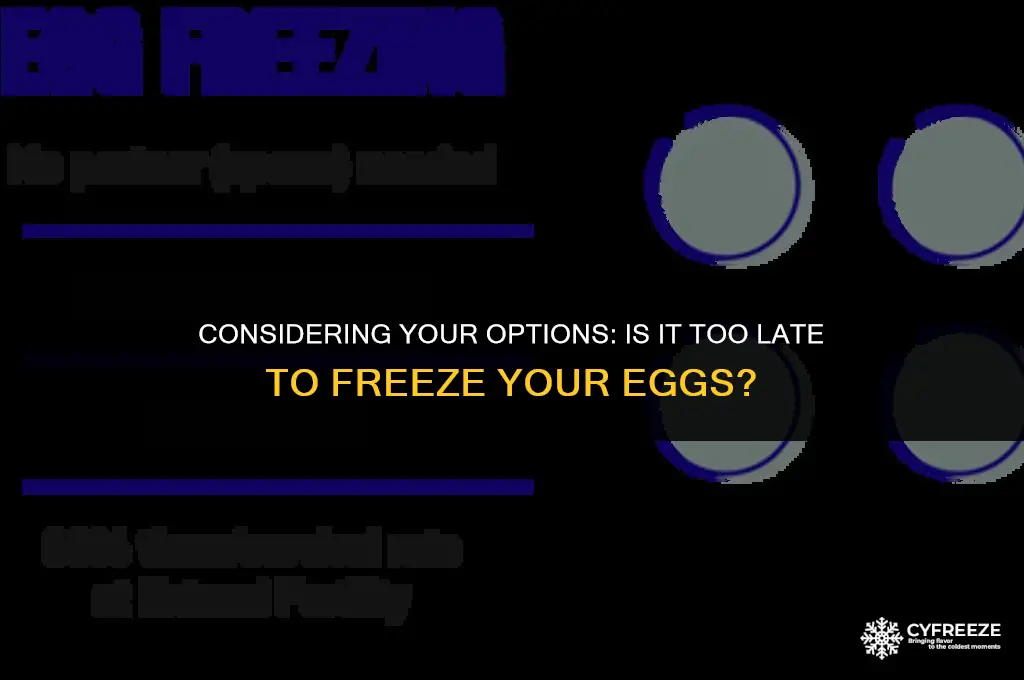 is it too late to freeze my eggs