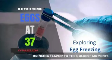 Considering the Future: Freezing Eggs at 37 - A Personal Choice