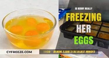 Kerry's Decision: The Truth About Freezing Her Eggs