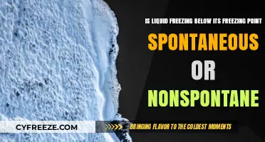 Liquid Freezing Below Freezing Point: Spontaneous or Nonspontaneous Process?