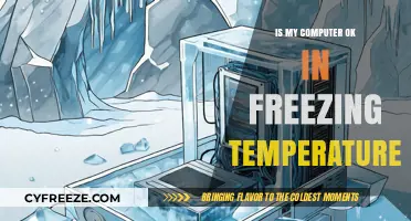 Can Your Computer Survive Freezing Temps? Essential Winter Care Tips
