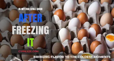 The Shelf Life of Frozen Eggs: A Comprehensive Guide