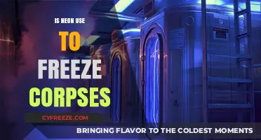 Neon's Role in Cryonics: Freezing Corpses for Preservation or Myth?