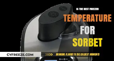 Perfect Sorbet Texture: Ideal Freezer Temperature Tips for Homemade Treats