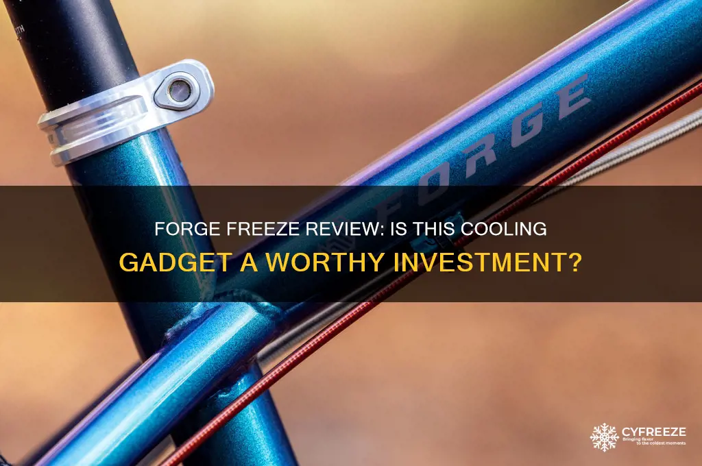 is the forge freeze worth getting