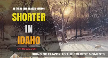 Idaho's Freeze Season: Is Winter Warming Up and Shortening?