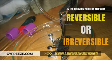 Reversible or Irreversible: Exploring Mercury's Freezing Point Process