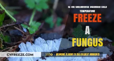 Greenhouse Disorder: Can Cold Temperatures Freeze Fungus Growth?