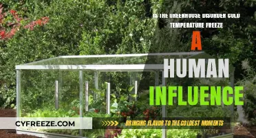 Greenhouse Disorder: Human Influence on Cold Temperature Freezes Explored