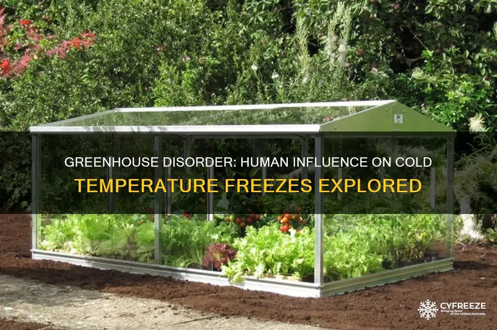 is the greenhouse disorder cold temperature freeze a human influence