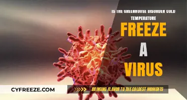 Can Cold Temperatures in Greenhouses Freeze and Kill Viruses?