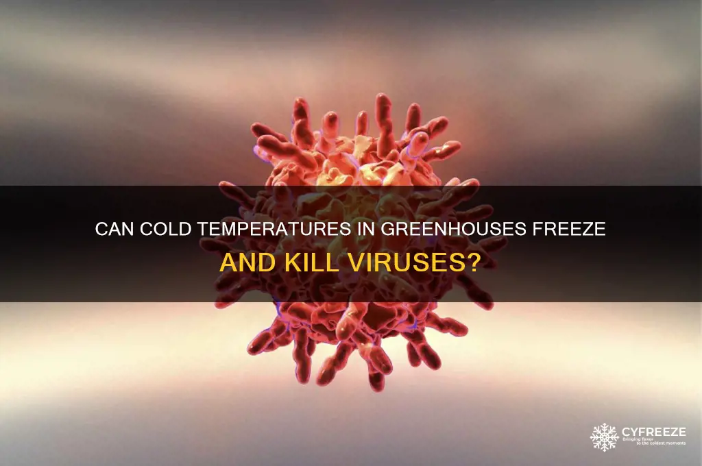 is the greenhouse disorder cold temperature freeze a virus