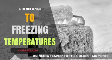 Does Winter Weather Impact Your Mail? Freezing Temperatures Explained