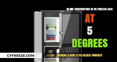 RV Freezer Safety: Is 5 Degrees the Right Temperature?