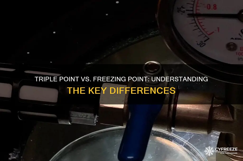 is the triple point the same as the freezing point
