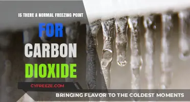 Exploring the Normal Freezing Point of Carbon Dioxide: Facts and Insights