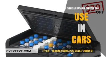 Portable Car Freezers: Are They a Road Trip Essential?
