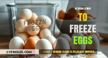 Egg Preservation: The Complete Guide to Freezing Eggs Safely