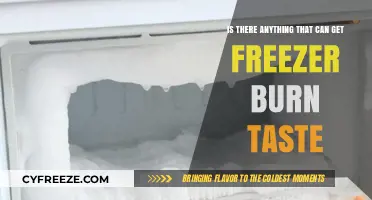 Can Freezer Burn Taste Be Fixed? Tips to Salvage Frozen Food