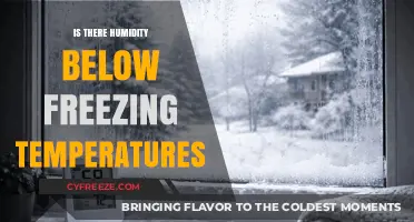 Can Humidity Exist in Freezing Temperatures? Exploring Cold Weather Moisture