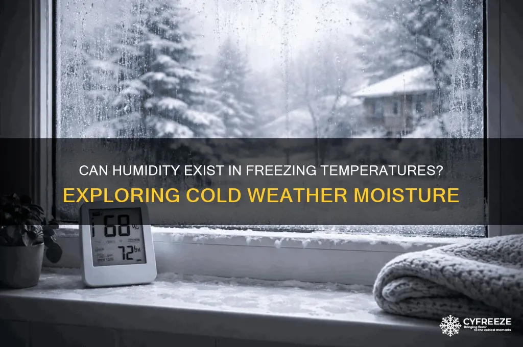 is there humidity below freezing temperatures