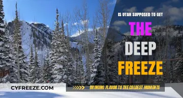 Utah's Deep Freeze: What to Expect This Winter Season