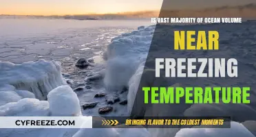 Exploring the Ocean's Chilling Reality: Near-Freezing Temperatures Dominate