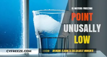 Why Water's Freezing Point Defies Expectations: Unraveling the Low-Temp Mystery