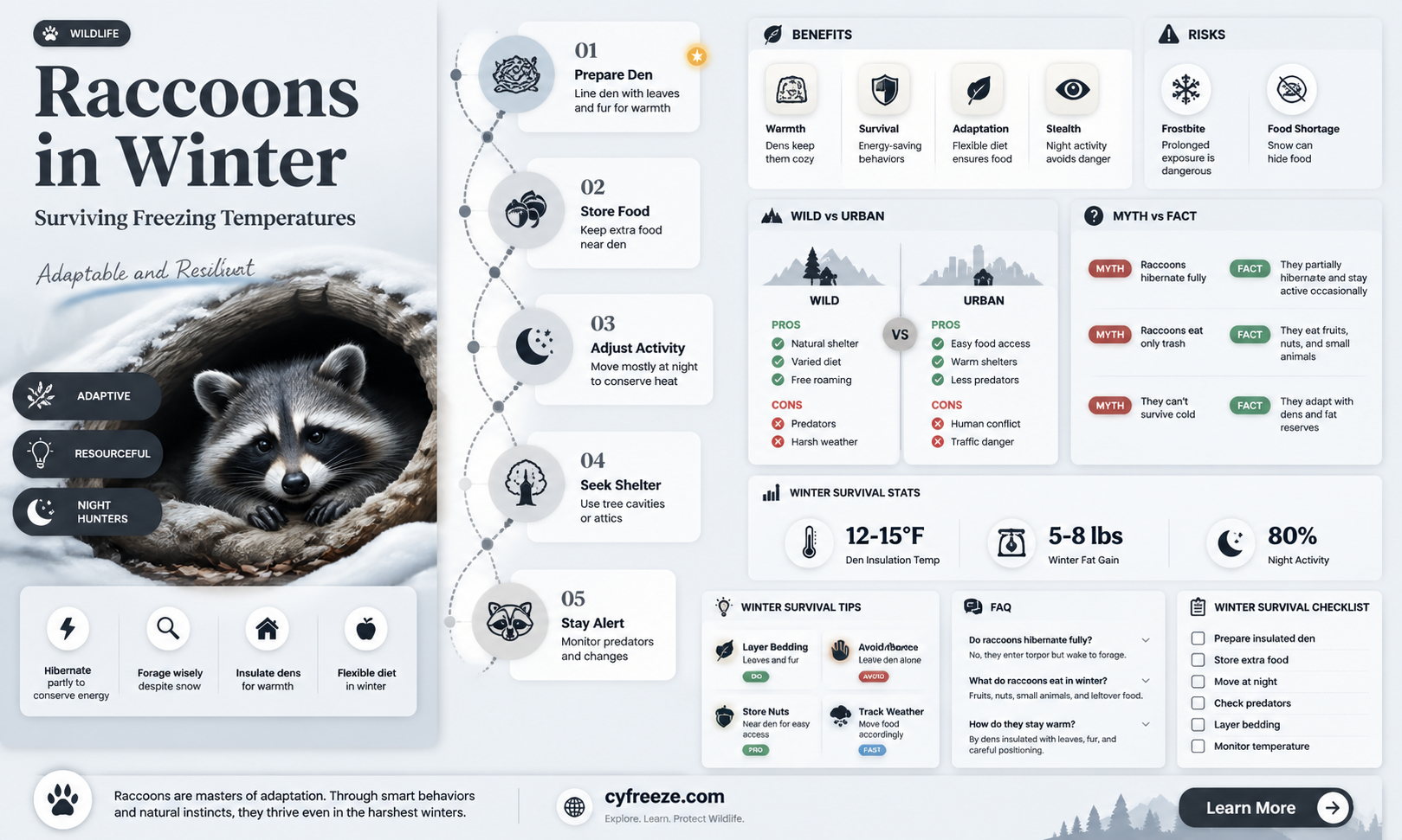 can raccoons survive freezing temperatures
