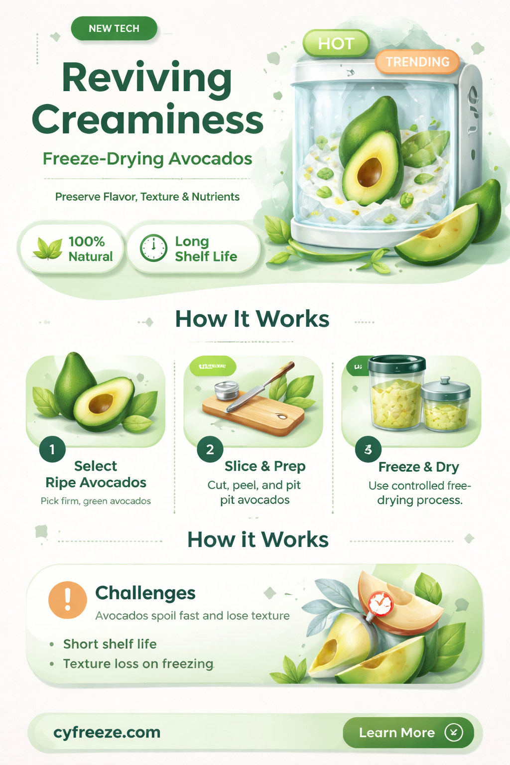 can you freeze dry avocados
