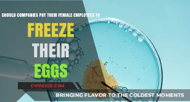 Egg Freezing Benefits: A Progressive Perk for Female Employees?