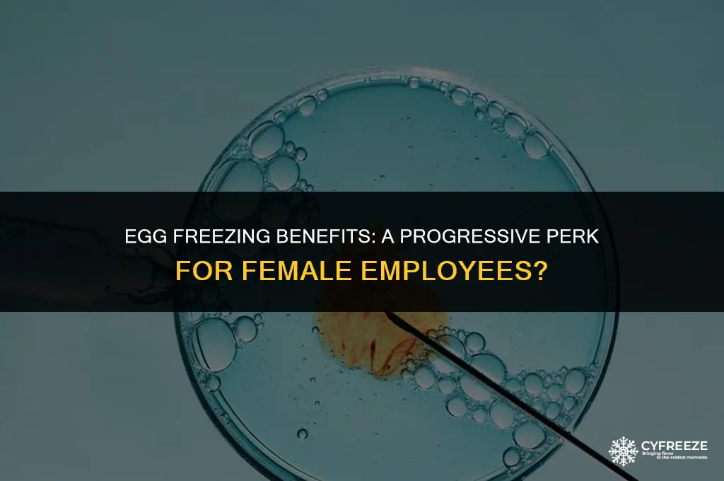 should companies pay their female employees to freeze their eggs