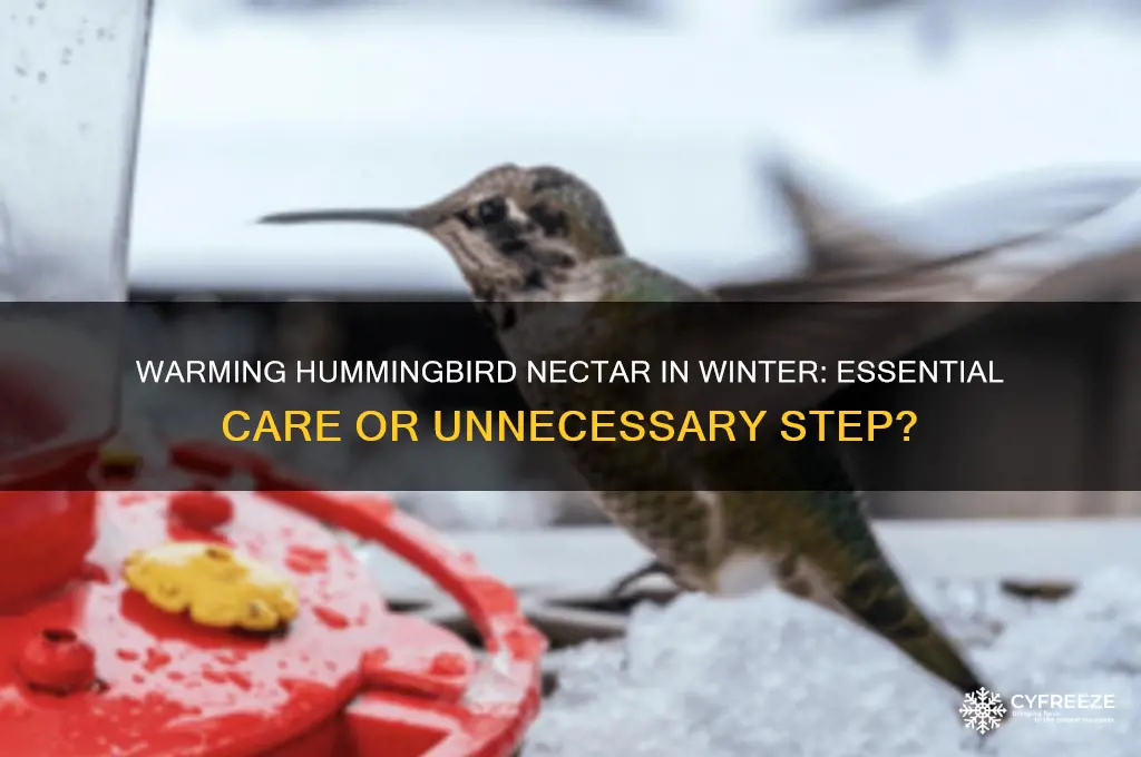 should hummingbird nectar be warmed in freezing temperatures