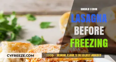 Pre-Cooking Lasagna: A Guide to Freezing with Confidence