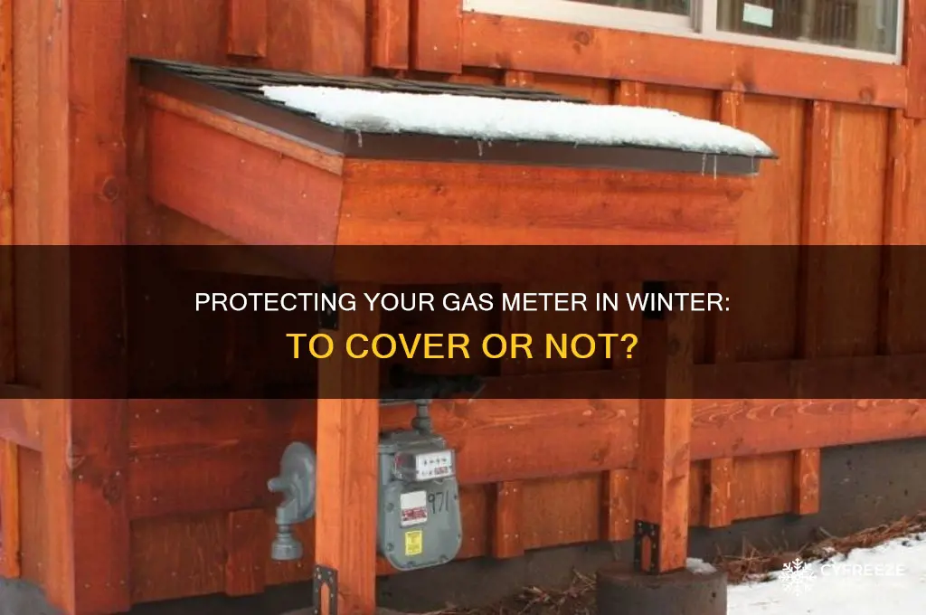 should i cover my gas meter in freezing temperatures
