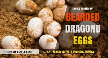 Bearded Dragon Egg Care: To Freeze or Not to Freeze?