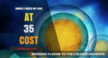 Considering Egg Freezing at 35: Weighing the Costs and Benefits
