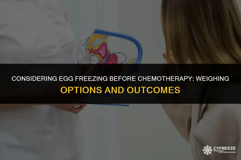 should i freeze my eggs before chemo