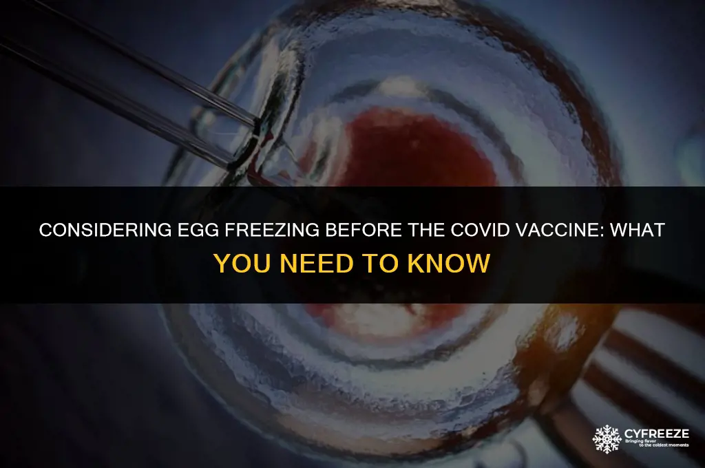 should i freeze my eggs before covid vaccine